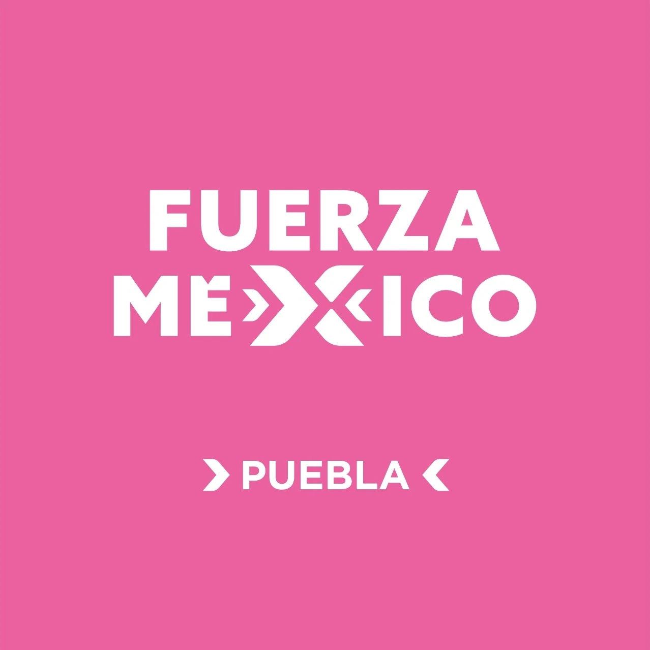 Fuerza por México