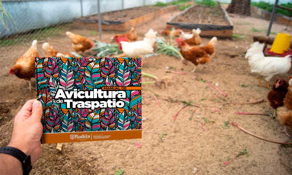 Ayuntamiento de Puebla distribuye Manuales de Avicultura y Compostaje en formato digital