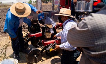 Ayuntamiento de Puebla reactiva 138 hectáreas para la producción agrícola 