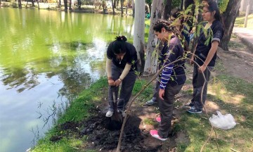 "Según el mapa, aquí debería haber un tesoro"