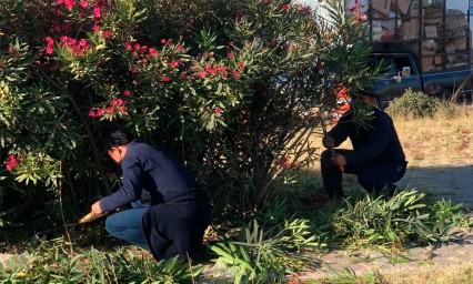 Cadetes se suman a jornadas de proximidad social organizadas por el Ayuntamiento en Bosques de San Sebastián