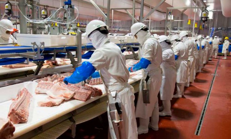 En medio de la pandemia, Granjas Carroll incrementó 45% ventas de carne en 2021