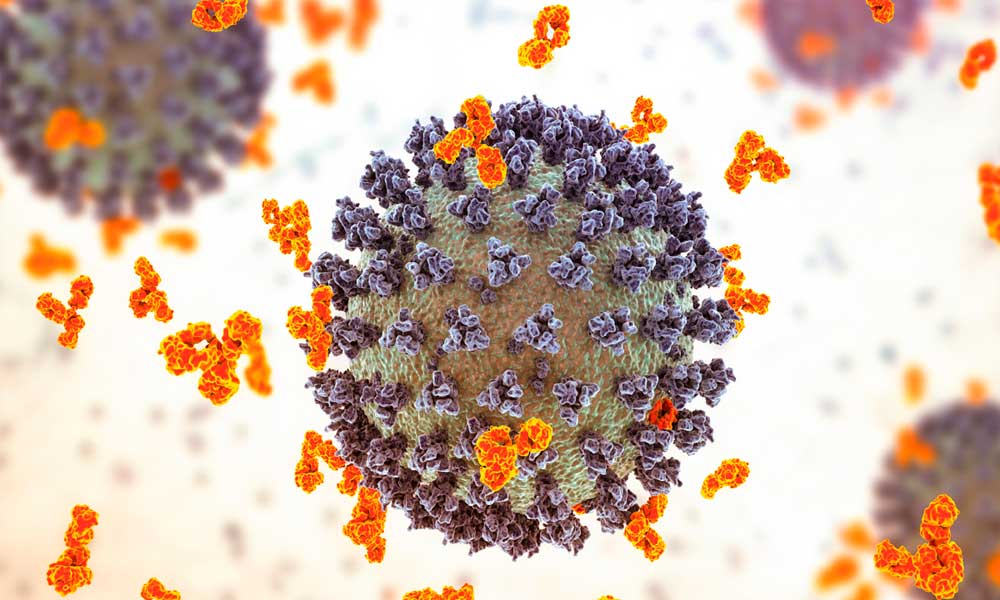 Estudian molécula del organismo humano que bloquea todas las variantes del coronavirus