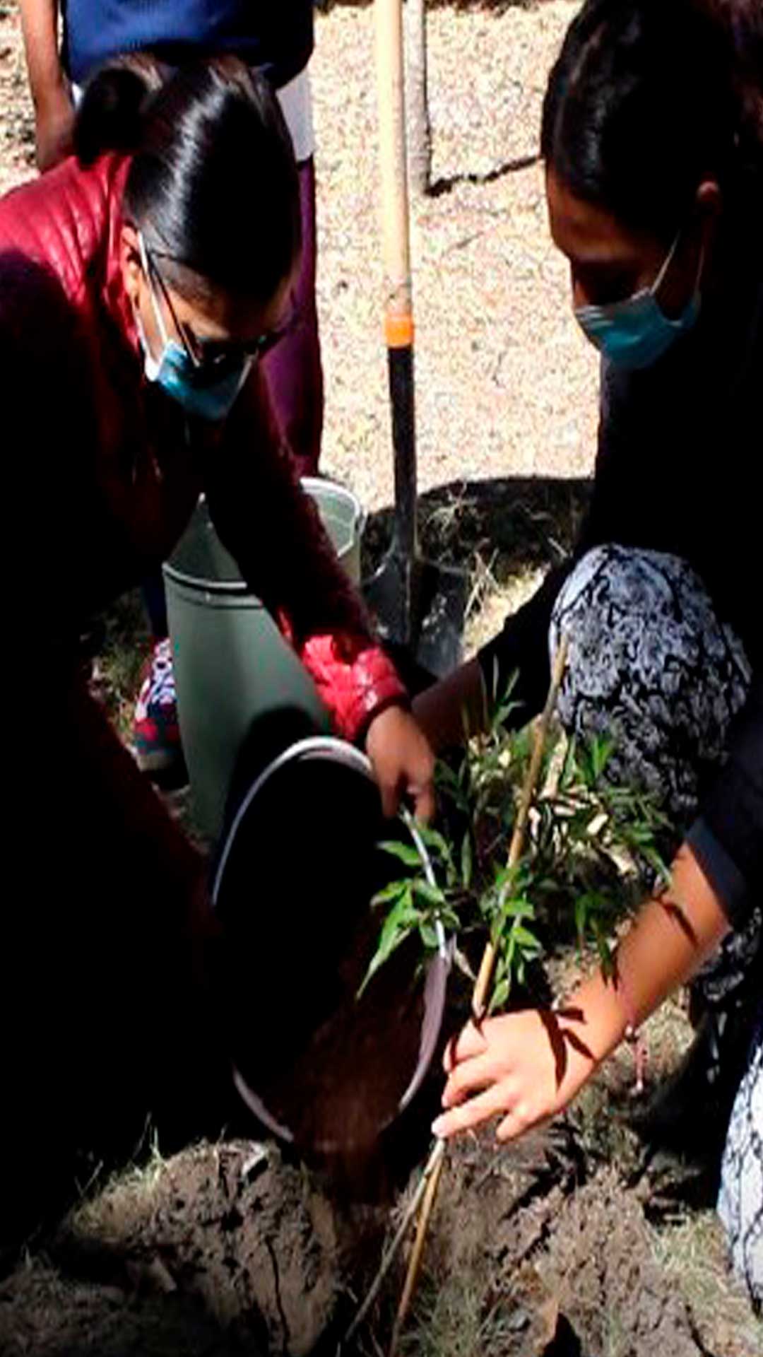 Secretaría de Medio Ambiente lleva a cabo jornada de sustitución de árboles en el Parque de la Madre