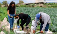 Investigadores BUAP y de la Universidad de Georgia desarrollan un proyecto de colaboración sobre inocuidad de alimentos agrícolas