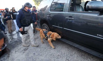 Realizan operativo de vigilancia en la Central de Abasto de Puebla