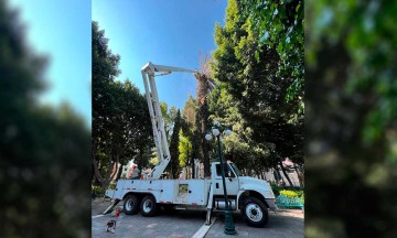 Retiran 10 árboles por tener plaga y hongos en el Centro Histórico de Puebla