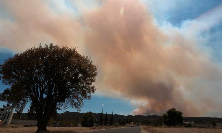 Puebla registra ocho incendios forestales en tan solo una semana