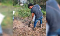 Emprenden proyecto de jengibre en grupo antorchista de Xicotepec
