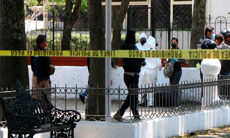 Autoridades se pronuncian ante caso del cuerpo desmembrado en parque de Las Ninfas