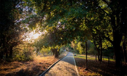 El Jardín Botánico de la BUAP conmemora su 35 aniversario