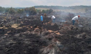 Puebla, cuarto lugar nacional en incendios forestales: Conafor