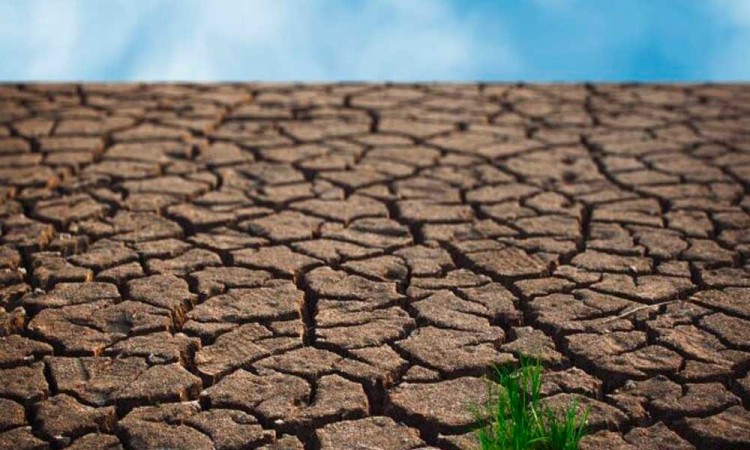 Más de 90 municipios poblanos presentan algún tipo de sequía