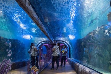 Lanzan petici&oacute;n en Change.org para &ldquo;salvar&rdquo; el Acuario de Veracruz