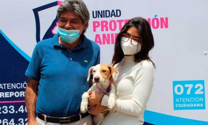 Más lomitos encuentran un hogar en las Jornadas de Adopción del Ayuntamiento de Puebla