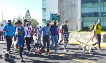 Festejan a papá en su día en la BUAP con una caminata perruna