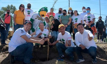 Plantando el perico 