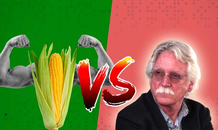 Lucha contra el maíz transgénico en México continúa: Julio Glockner