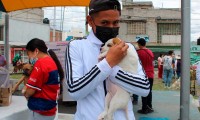 Ayuntamiento de Puebla esteriliza a mascotas en la Rivera Anaya