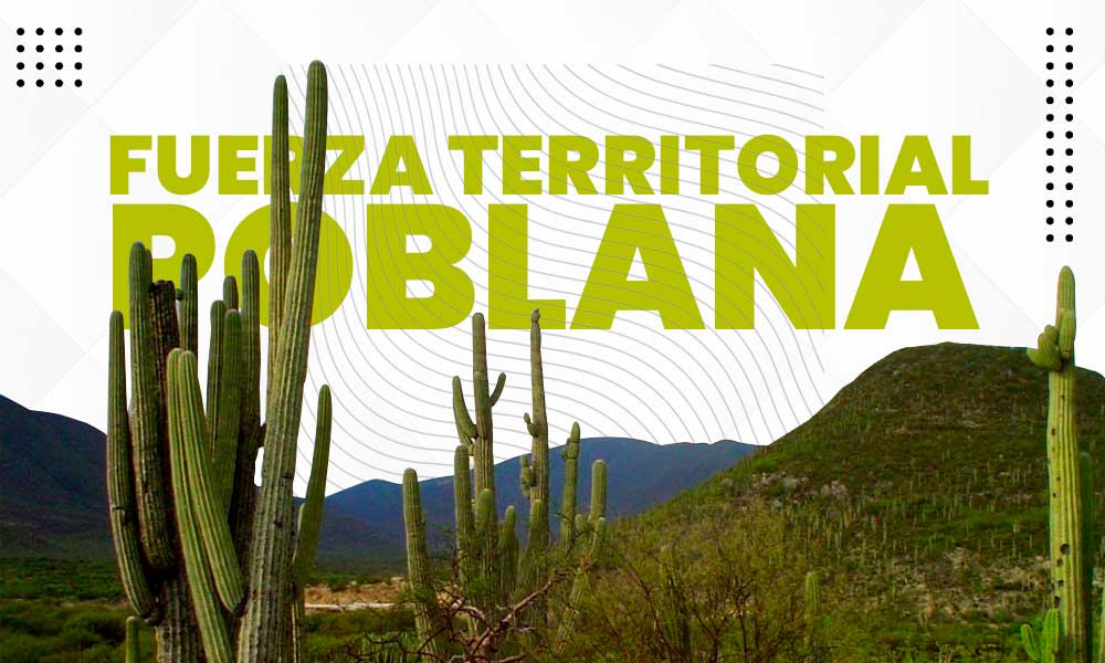 Fuerza territorial poblana y las autodefensas en Puebla