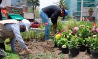 Buscan recuperar la vegetación endémica del municipio de Puebla en la Avenida Juárez