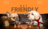 Todo lo que debes saber sobre el concepto Pet Friendly