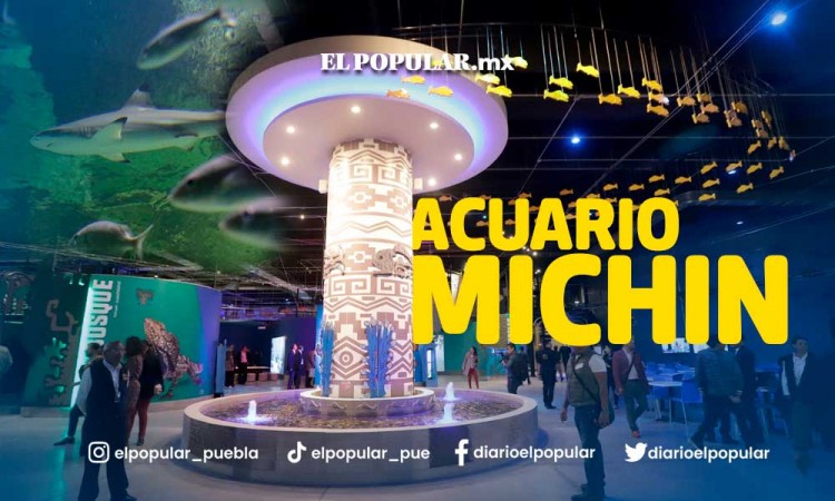 Acuario Michin, pilar de la conservación marina en Puebla