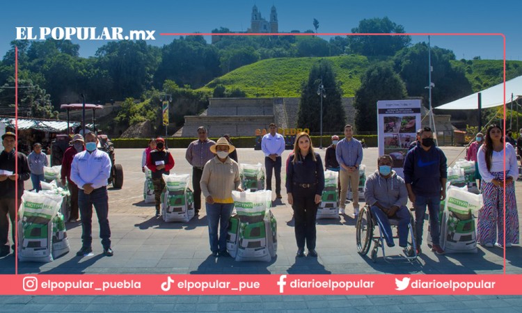 El campo cholulteca es prioridad de mi gobierno: Paola Angon