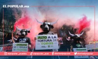 Bajan de la Cámara de Diputados la votación de la prohibición de las corridas de toros