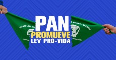 PAN presenta “Ley de los Derechos de las Personas no Nacidas”