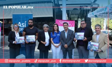 Camellones nuevos y remodelados en la Avenida Juárez