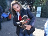 Paola Angón promueve la adopción y cuidado de mascotas en San Pedro Cholula