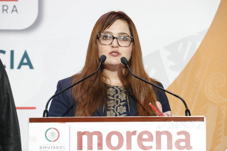 Diputada federal Marisol García celebra en Puebla iniciativa Brazos Vacíos de diputados obradoristas
