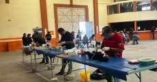 Ayuntamiento de Esperanza realiza campaña de esterilización de mascotas