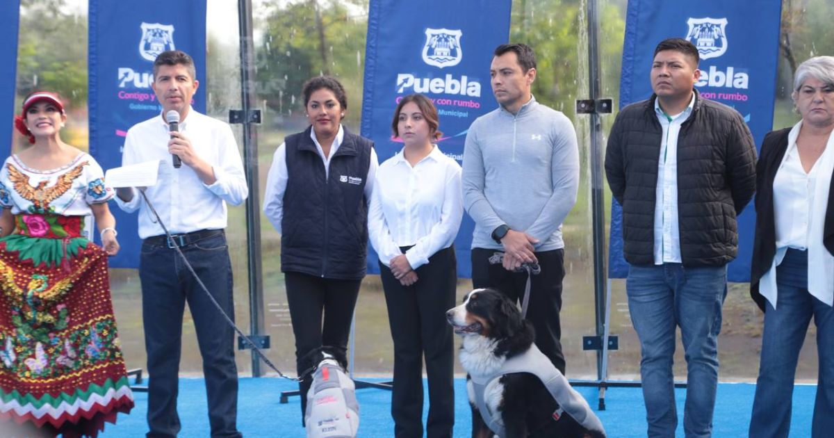 Ayuntamiento de Puebla invita a la carrera ‘Contigo y tus Perritos’