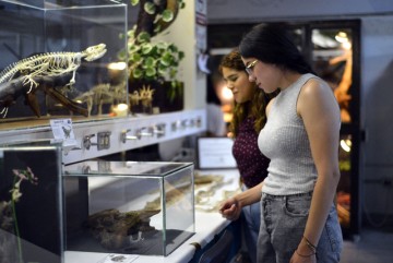 Segundo Festival Mexicano de las Serpientes: Celebrando la biodiversidad y el cuidado de estos fascinantes reptiles