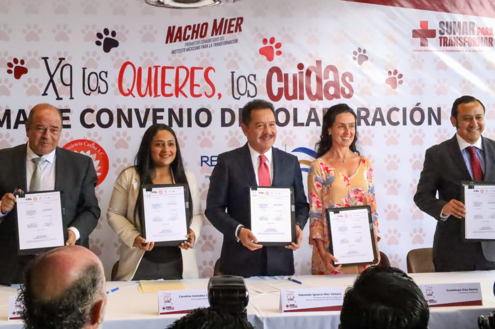 Bienestar animal en Puebla: Cuidado y protección