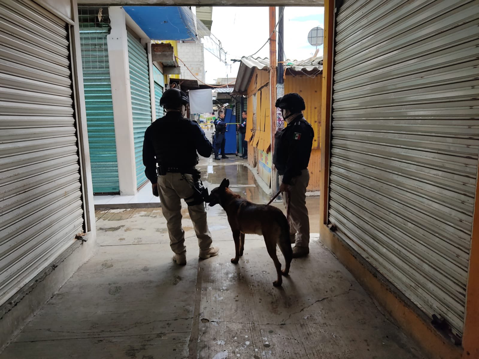 Elementos de la Secretaría de Seguridad Ciudadana de Puebla (SSC) en coordinación con la Secretaría de Seguridad Pública realizaron un cateo al interior del mercado Independencia