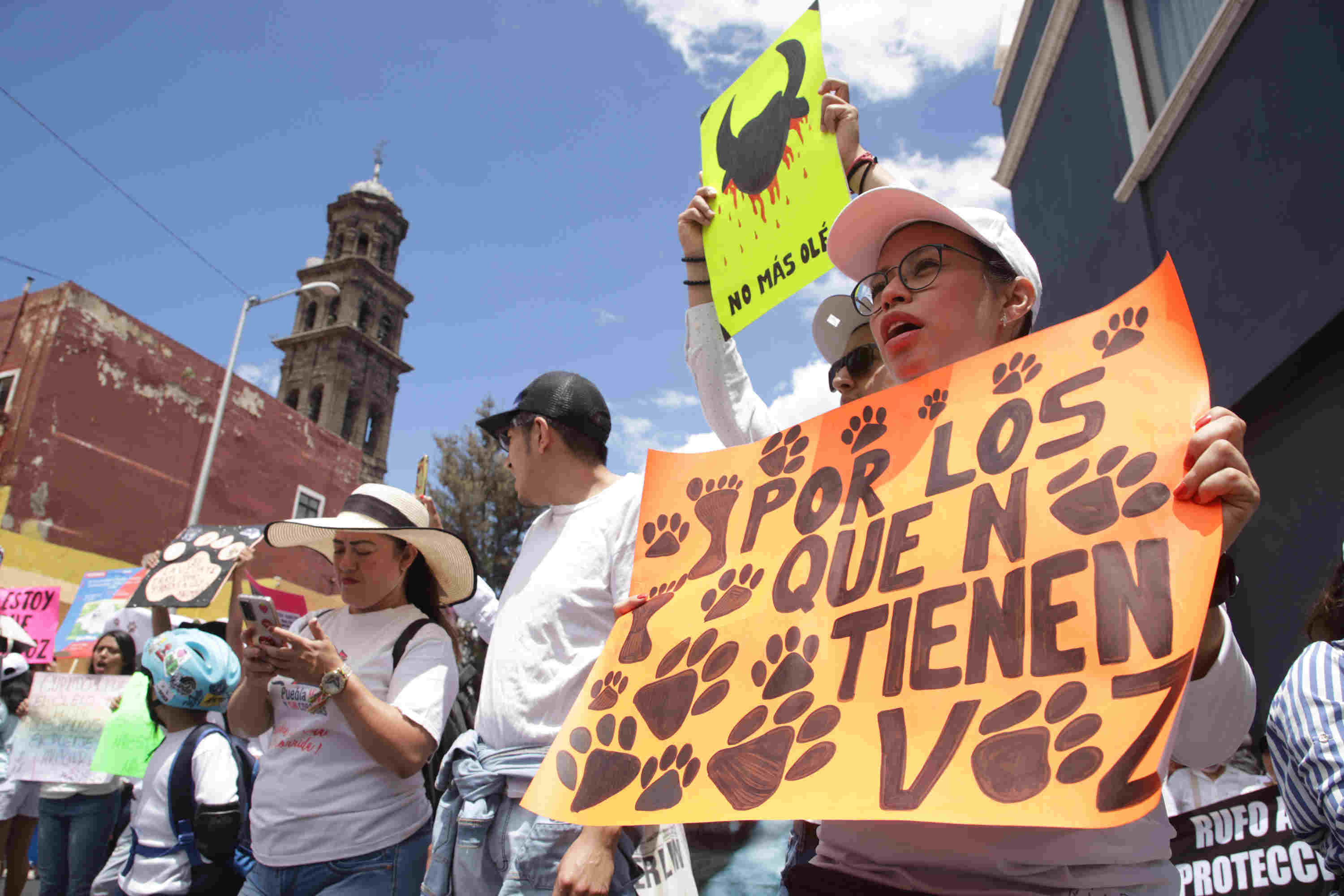 El colectivo Movimiento Animalista de Puebla quienes convocan a una marcha ciudadana por los animales para el próximo domingo 13 de agosto