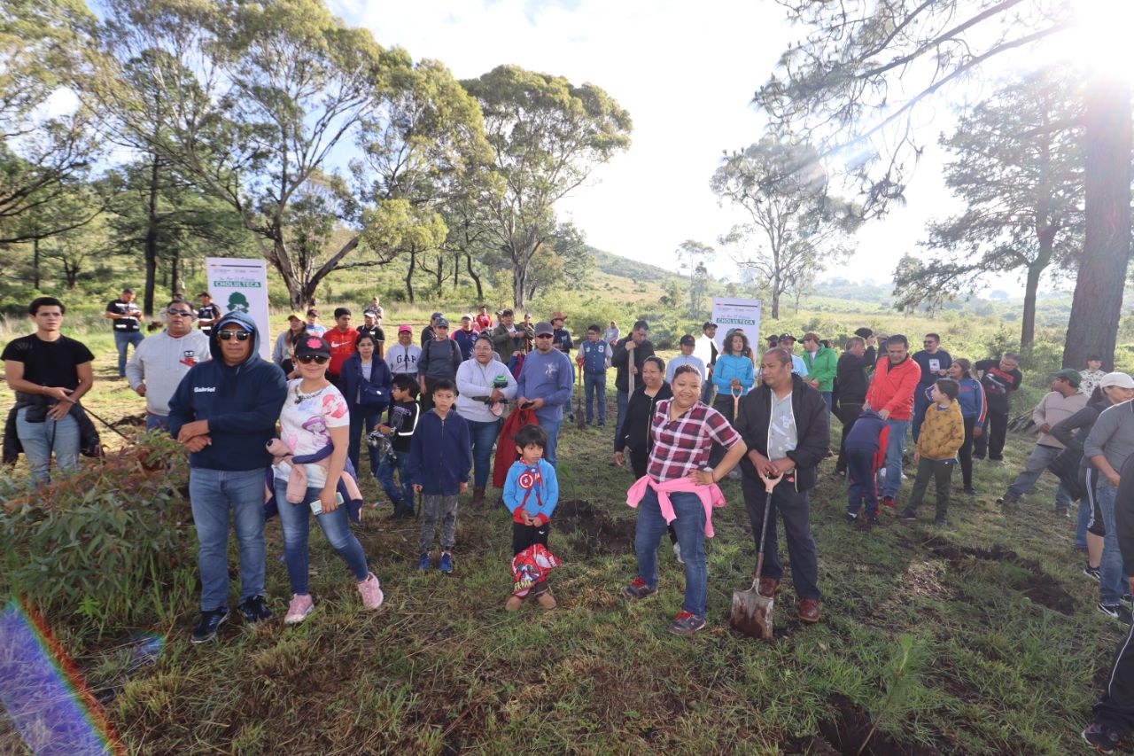 Reforestación de 2 mil árboles de ejemplares de ocotes y encinos en el cerro Zapotecas, como parte de la jornada “Va Por el Pulmón Cholulteca”