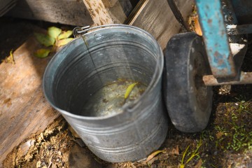 736 casos de dengue en el estado de Puebla