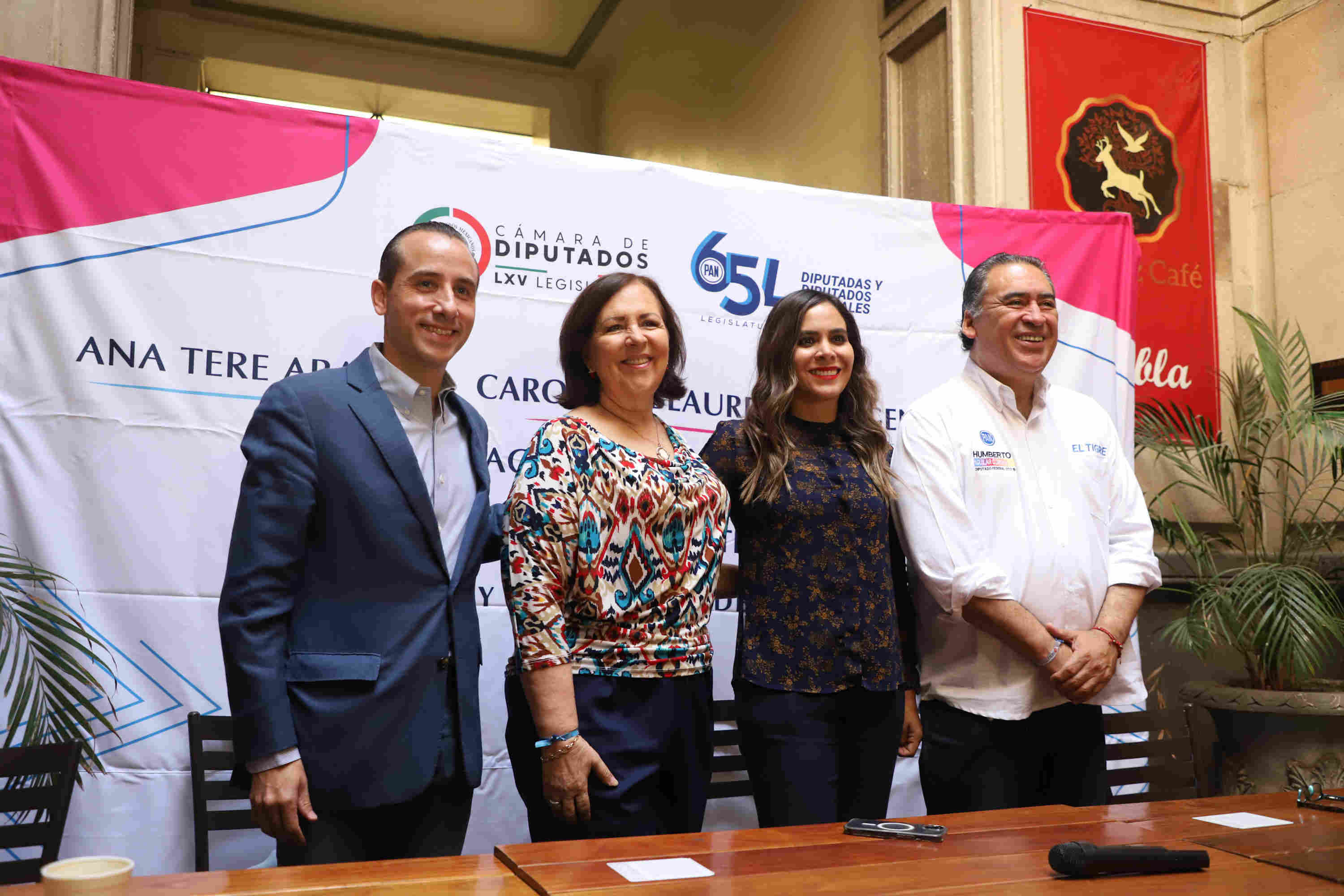 Diputada federal del PAN Ana Teresa Aranda