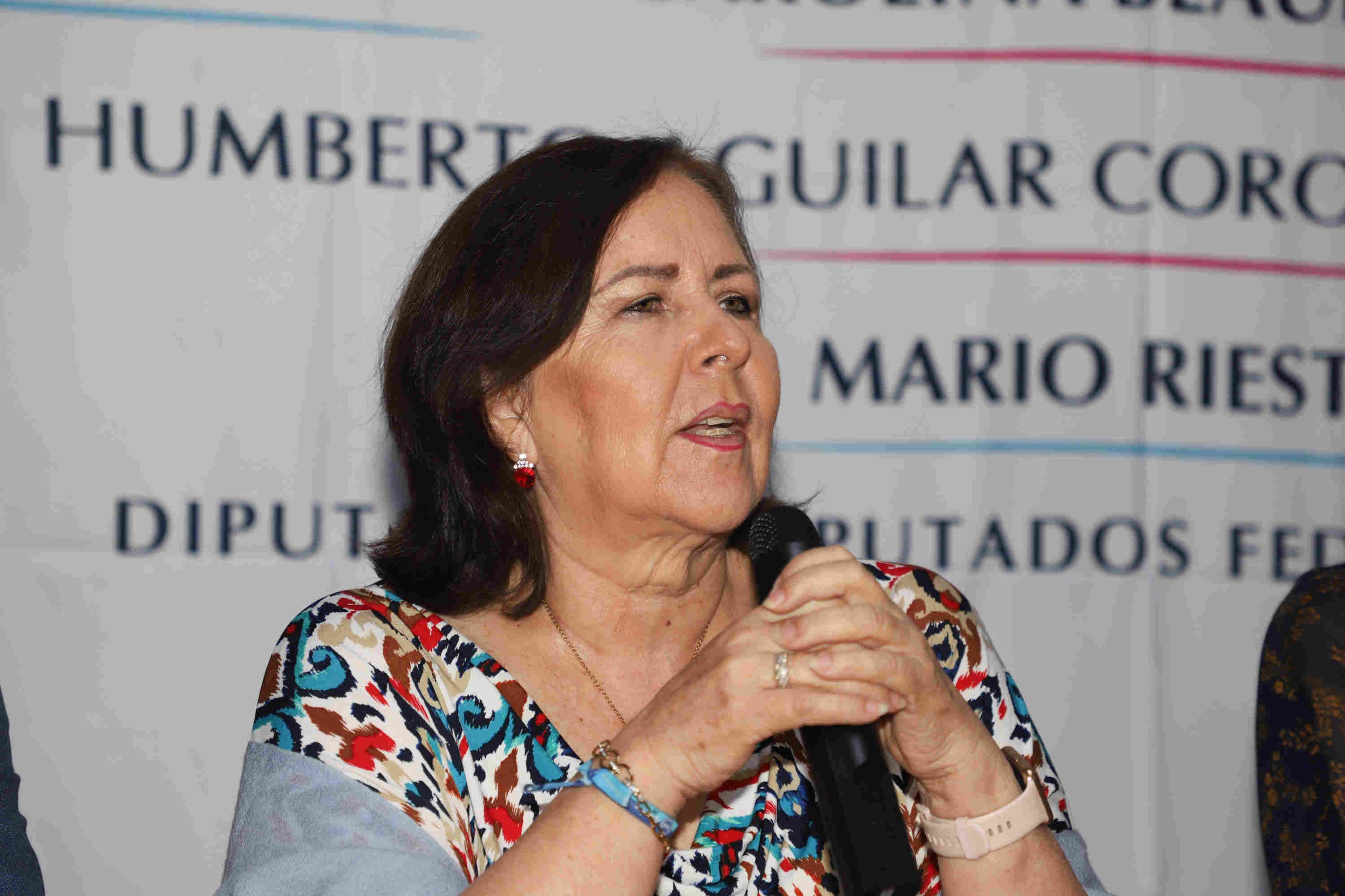 La diputada federal del PAN Ana Teresa Aranda