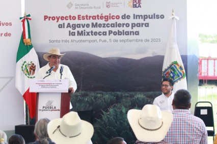 Impulso al Agave Mezcalero en la Mixteca Poblana: Proyecto Único a Nivel Nacional