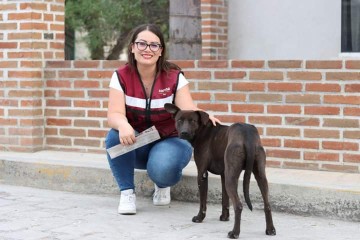 Julieta Vences pide a Fiscalía de Baja California investigue caso de Crueldad Animal por empresas constructoras