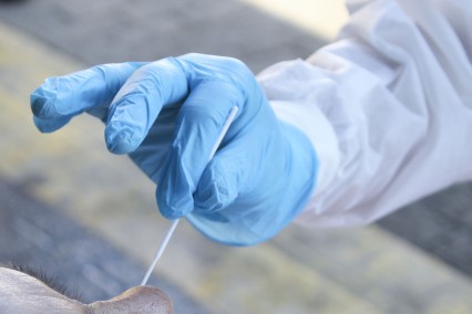 Sin nuevos casos y hospitalizados por dengue