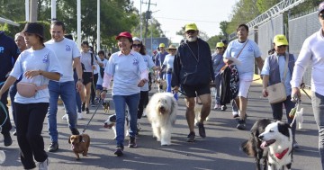 Festeja BUAP primer aniversario del Centro de Apoyo Emocional y Terapia Ocupacional con Animales