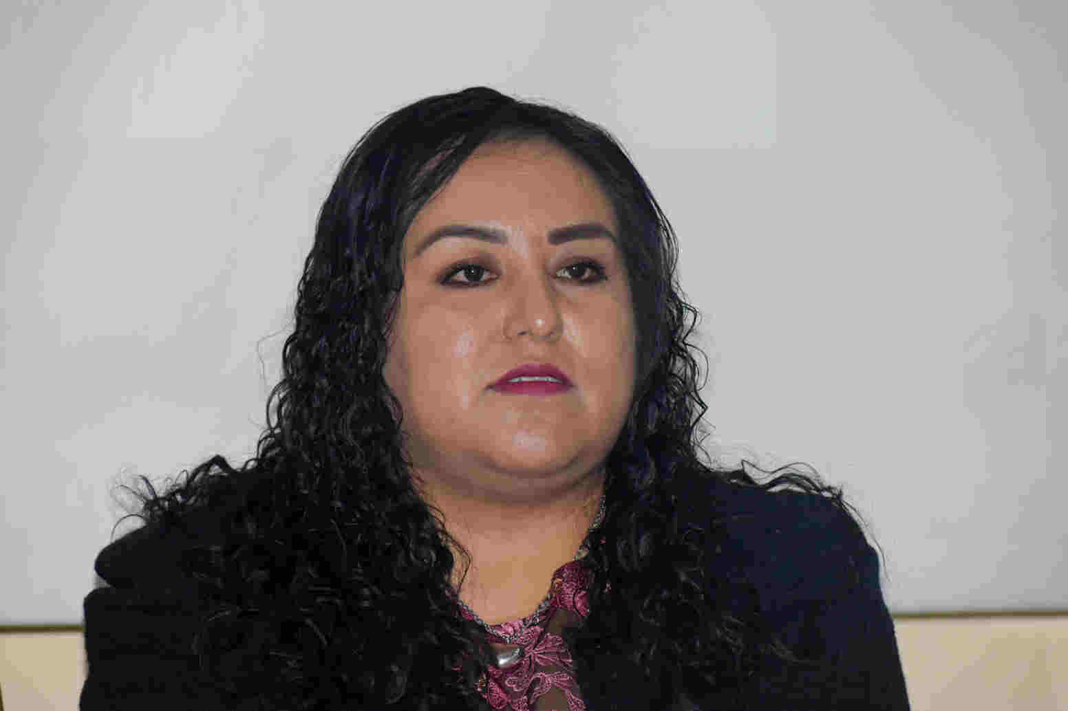 La diputada de Morena, comentó que la falta de voluntad política es la responsable de que la despenalización del aborto siga sin ser discutida en el Congreso del Estado.