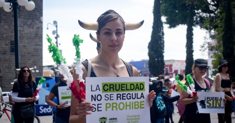 ¡Ganan amparo para cancelar corrida de toros! Juez suspende una en Ixtacamaxtitlán