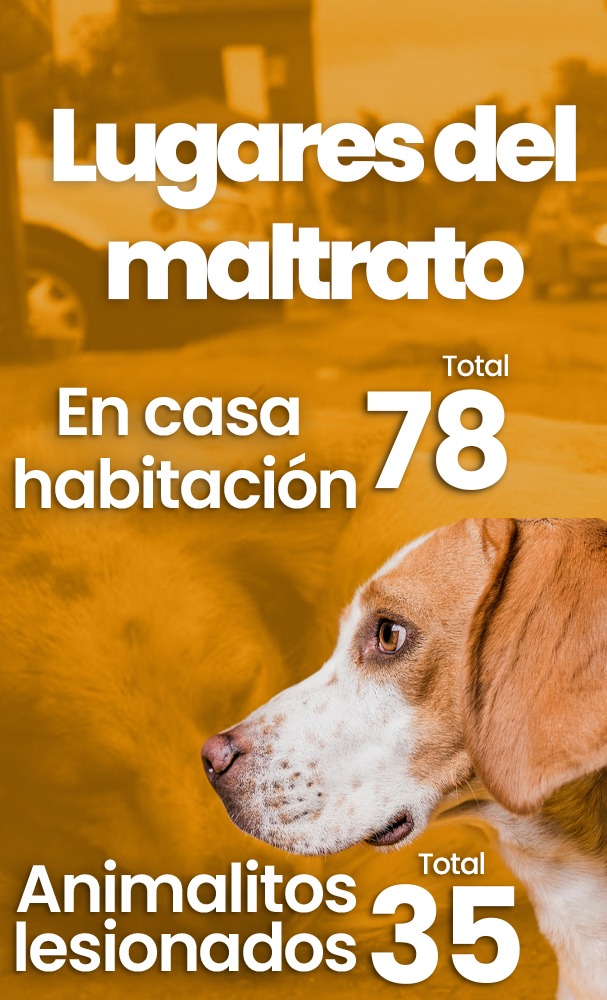 Lugares del maltrato